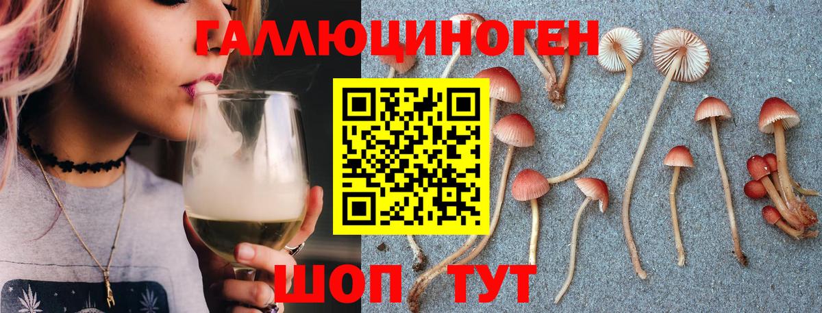 Галлюциногенные грибы Cubensis Балашов